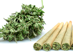 Selecting THC Pre-rolled Joints That Match Your Personal Style